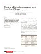 Mycetia hirta Hutch (Rubiaceae), a new record for the flora of Viet Nam