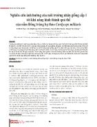 Nghiên cứu ảnh hưởng của môi trường nhân giống cấp 1 tới khả năng hình thành quả thể của nấm Đông trùng hạ thảo Cordyceps militaris