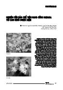 Nghiên cứu bào chế viên nang cứng Nadaga từ cao khô dược liệu