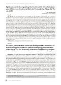 Nghiên cứu các tổn thương đường tiêu hóa trên và tỉ lệ nhiễm Helicobacter pylori ở bệnh nhân đến nội soi tại Bệnh viện trường Đại học Y dược Cần Thơ năm 2019