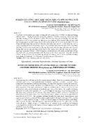 Nghiên cứu công thức khử trùng mẫu và môi trường nuôi cấy in vitro cây bình vôi vàng (stephania spp)