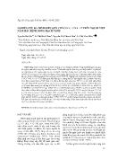 Nghiên cứu đa hình kiểu gen CYP2C19*2, *3 VÀ *17 trên người Việt Nam mắc bệnh động mạch vành