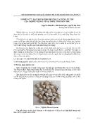 Nghiên cứu đặc điểm sinh trưởng và tích lũy chì của nghêu nuôi ở vùng triều tỉnh Bến Tre