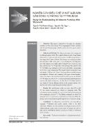 Nghiên cứu điều chế vi hạt Albumin gắn đồng vị phóng xạ Yttrium-90