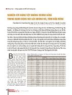 Nghiên cứu động vật không xương sống trong hang động núi lửa Krông Nô, tỉnh Đắk Nông