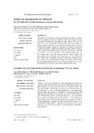 Nghiên cứu hấp phụ nitrát bằng than sinh học từ lục bình