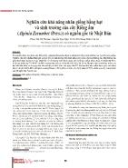 Nghiên cứu khả năng nhân giống bằng hạt và sinh trưởng của cây Riềng ấm (Alpinia Zerumbet (Pers) có nguồn gốc từ Nhật Bản