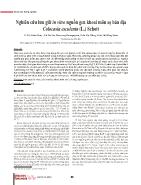 Nghiên cứu lưu giữ in vitro nguồn gen khoai môn sọ bản địa Colocasia esculenta (L) Schott