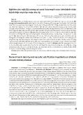 Nghiên cứu mật độ xương và canxi hóa mạch máu trên bệnh nhân bệnh thận mạn lọc máu chu kỳ