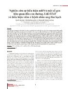 Nghiên cứu sự biểu hiện mRNA một số gen liên quan đến con đường JAK/STAT và biểu hiện viêm ở bệnh nhân ung thư hạch