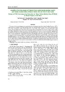 Nghiên cứu ứng dụng kỹ thuật PCR chẩn đoán nhanh vi-rút gây bệnh khảm vàng (pymov) trên cây hồ tiêu ở Việt Nam