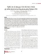 Nghiên cứu xây dựng quy trình chẩn đoán vi khuẩn gây nhiễm khuẩn âm đạo bằng phương pháp Multiplex PCR