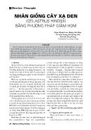 Nhân giống cây xạ đen (celastrus hindsii) bằng phương pháp giâm hom