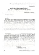 Novel treatment for non-small cell lung cancer with brain metastases