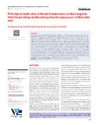 Phân lập và tuyển chọn vi khuẩn Pseudomonas có khả năng kích thích tăng trưởng cây đậu phộng (Arachis hypogaea L) ở điều kiện mặn