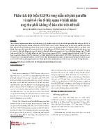 Phân tích đột biến EGFR trong mẫu mô phủ paraffin và một số yếu tố liên quan ở bệnh nhân ung thư phổi không