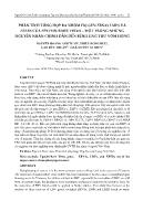 Phân tích tổng hợp ba nhóm họ gen Ebnas Imps và Ebers của Epstein-Barr virus – một trong những nguyên nhân chính dẫn đến bệnh ung thư vòm họng