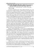 Phát hiện gene bản thể oxa-51-like của acinetobacter baumannii bằng phương pháp real-time PCR