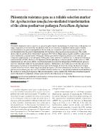 Phleomycin resistance gene as a reliable selection marker for Agrobacterium tumefaciens-Mediated transformation of the citrus postharvest pathogen Penicillium digitatum