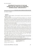 Preoperative evaluation of vascular morphology and function of living renal donors on multi - Detector row CT