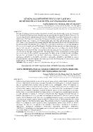 Sử dụng đặc điểm hình thái và mã vạch DNA để định danh lan hài hương lan (paphiopedilum emersonii)