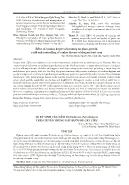 Sự ký sinh của nấm trichoderma, paecilomyces trên tuyến trùng gây bướu rễ cây tiêu