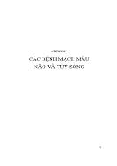 Tài liệu Các bệnh mạch máu não và tủy sống