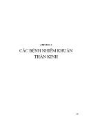 Tài liệu Các bệnh nhiễm khuẩn thần kinh