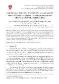 Tạo dòng và biểu hiện gene mã hóa kháng nguyên rhoptry‐associated protein‐1 của babesia bovis trong escherichia colibl21 (DE3)