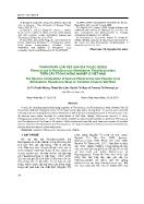 Thành phần loài rệp sáp giả thuộc giống planococcus & pseudococcus (homoptera: pseudococcidae) trên cây trồng nông nghiệp ở Việt Nam