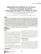 Thành phần loài và phân bố của các loài cua (Crustacea: Decapoda: Brachyura) ở rừng ngập mặn huyện Cù Lao Dung, Sóc Trăng