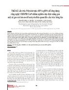 Thiết kế cấu trúc Polycistronic tRNA-GRNA để ứng dụng công nghệ CRISPR/Cas9 nhằm nghiên cứu chức năng gen một số gen mã hóa motif ankyrin liên quan đến cấu trúc bông lúa