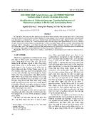 Xác định nấm colletotrichum spp gây bệnh thán thư thanh long ở Hà Nội và vùng phụ cận