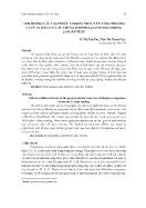 Ảnh hưởng các loại thức ăn khác nhau lên tăng trưởng và tỷ lệ sống của ấu trùng marphysa sanguinea trong 23 ngày nuôi