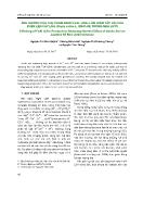 Ảnh hưởng của chế phẩm nano feal LDHs  làm giảm tác hại của phèn lên cây lúa (oryza sativa L ir841-85) trong nhà lưới