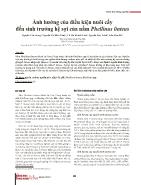 Ảnh hưởng của điều kiện nuôi cấy đến sinh trưởng hệ sợi của nấm Phellinus linteus