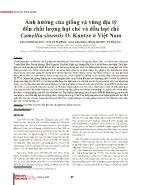 Ảnh hưởng của giống và vùng địa lý đến chất lượng hạt chè và dầu hạt chè Camellia sinensis O. Kuntze ở Việt Nam