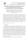 Ảnh hưởng của liều lượng kali đến năng suất hạt giống hành lá (allium fistulosum L) tại thị xã Hương Trà, tỉnh Thừa Thiên Huế