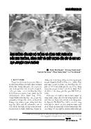 Ảnh hưởng của mật độ trồng và công thức phân bón đến sinh trưởng, năng suất và chất lượng của cây cà gai leo tại huyện Con Cuông