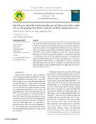 Ảnh hưởng của một số đèn Lad do Rạng Đông sản xuất đến sự sinh trưởng và phát triển của chồi giống Bạch đàn PNCT3 và giống keo lai BV10 trong điều kiện in vitro