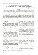 Ảnh hưởng của vi khuẩn paracoccus pantotrophus lên hàm lượng khí độc H₂S trong ao ương cá tra giống