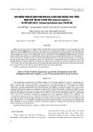 Ảnh hưởng phun bổ sung phân bón qua lá đến sinh trưởng, phát triển, năng suất rau ăn lá ngải cứu (artemisia vulgaris L) và thổ sâm cao ly (talinum paniculatum (jacq) tại Hà Nội