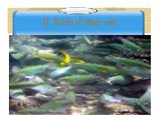 Bài giảng Kinh tế môi trường - Kinh tế thủy sản
