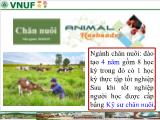Bài giảng Ngành chăn nuôi