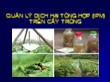Bài giảng Quản lý dịch hại tổng hợp (IPM) trên cây trồng