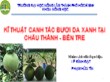 Bài thuyết trình Kĩ thuật canh tác bưởi da xanh tại Châu Thành - Bến Tre