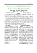 Bảng sống của rệp sáp giả cam planococcus citri (risso) (homoptera: pseudococcidae) nuôi trong phòng thí nghiệm