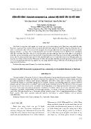 Bệnh héo vàng (fusarium oxysporum F.SP.Cubense) hại chuối tiêu tại Việt Nam