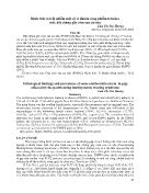 Bệnh tích và tỉ lệ nhiễm một số vi khuẩn cộng nhiễm trên heo mắc hội chứng gầy còm sau cai sữa