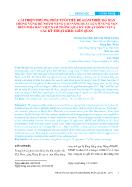 Cải thiện phương pháp tưới tiêu để giảm thiểu độ mặn trong vùng rễ nhằm nâng cao năng suất lúa ở vùng ven biển phía bắc Việt Nam thông qua kỹ thuật đồng vị và các kỹ thuật khác liên quan